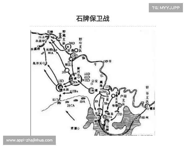 浙江混合组冠军战术揭秘 女子队员掩护撕破防线核心策略分析 浙江混合组冠军战术揭秘 女子队员掩护撕破防线核心策略分析