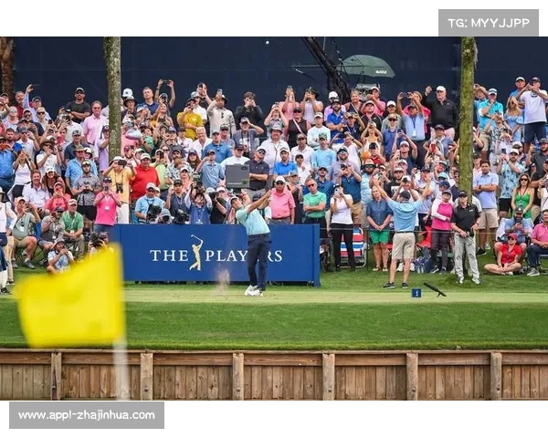 球员为争取美巡资格作出的赛程选择与权衡 球员为争取美巡资格作出的赛程选择与权衡